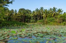 Pulau Ubin. Last Village in Singapore