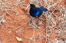 4 Days Best of Kenya Safaris 