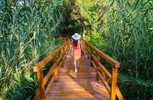 From Split: Krka Waterfalls Trip with Boat Cruise and Swimming 