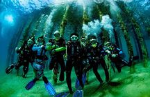 Shore PADI SCUBA Open Water Course 