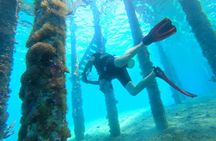 Shore PADI SCUBA Open Water Course 