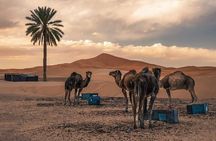 Overnight in a Private Sahara Desert Camp in Merzouga All Inclusi