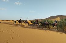 Overnight in a Private Sahara Desert Camp in Merzouga All Inclusi