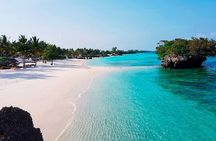 Dolphin Watching Tour & Josani Forest Sea Trip - Zanzibar