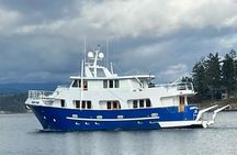 4 Course Dinner Cruise plus Eco Tour on Luxury Yacht in Sitka
