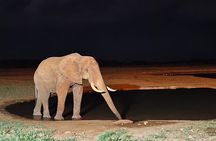 3 Days Private Safari Tsavo East and West Tour