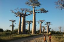 Adventure Tour West Madagascar | Nature and Discovery 