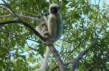 Adventure Tour West Madagascar | Nature and Discovery 