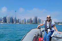 Sightseeing Boat Tour in Chicago