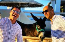 Half Day Easy and Fun Taste of Santorini