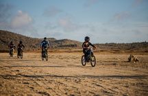 Epic Off-Road Surron Electric Bike Tour in Aruba