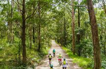 Self Guided E Bike Tour - Unicorn Falls, Rainforest & Rail Trail