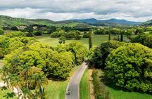 Self Guided E Bike Tour - Unicorn Falls, Rainforest & Rail Trail
