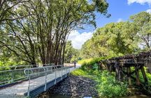 Self Guide E Bike Tour - Husk Distillery, Rainforest & Rail Trail