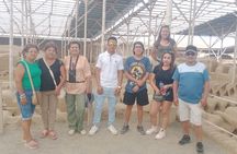 Full day in English from Salaverry Port