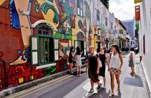 Singapore Panoramic Sightseeing Private Tour with River Cruise