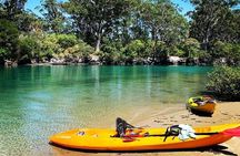 Sunset Kayak Eco Tour with Marine Scientist