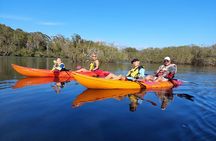 Sunset Kayak Eco Tour with Marine Scientist