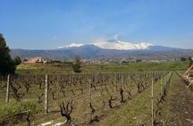 Wine and Lunch Tour 
