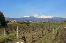 Wine and Lunch Tour 