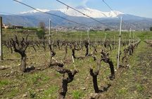 Wine and Lunch Tour 
