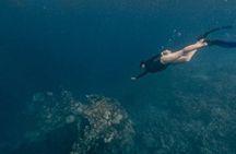 Coron Shipwrecks and Lusong Coral Garden tour (Private / Shared)