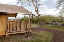 From Arusha: 7 Days Classic Safari Central Northern Circuit