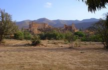 Taroudant and Tiout Day Trip from Agadir