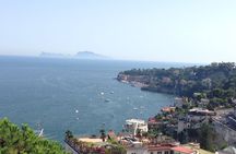 Visit in Pompeii - Naples Private Tour with Ada