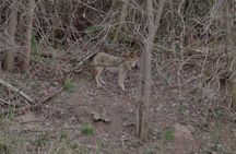 Amazing Brazos River Morning or Sunset Boat Adventure