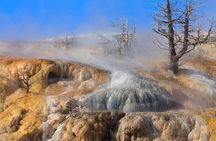 Full Day Best Of Yellowstone National Park Tour From Big Sky 