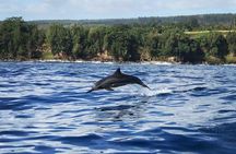 Cliff's of Hawai'i Onomea Waterfall Cruise
