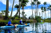 Wailoa River to King Kamehameha Statue Kayak Adventure