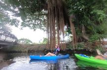 Wailoa River to King Kamehameha Statue Kayak Adventure