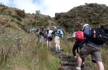 4 Days Small Group Inca Trail Tour to Machu Picchu 