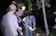  Exclusive Night Walk in La Fortuna and Natural Frog Garden .