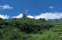Découvrez le Mana durant la traversée de Tahiti en 4x4 Safari