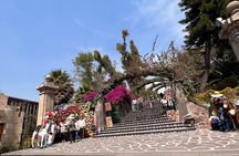 100% private tour in Guadalupe's Basilica with transport