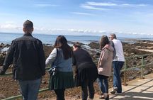 Edinburgh: Privately Guided St Andrews Day Tour in Luxury Minivan