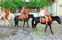 Private Mules Tour from Chefchaouen