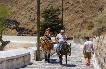 Private Mules Tour from Chefchaouen