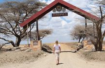 4 Days 3 Nights Tanzanian Budget Safari Tour