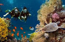 Exciteful Scuba Diving Experience in Antalya