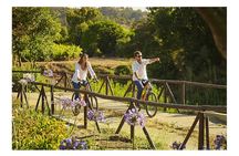 Casablanca Wine Tour