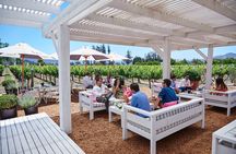 Casablanca Wine Tour