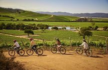 Casablanca Wine Tour