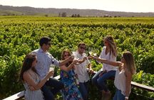 Casablanca Wine Tour
