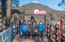 Exclusive Private DMZ Tour & War Memorial Hall or Suspension Bridge(No Shopping)