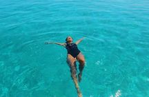 Full Day Dimaniyat Island Excursion