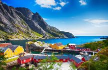 Shore Excursion Full day Private Tour in Lofoten